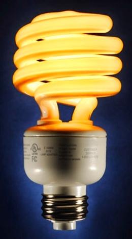 CFL Light Bulb